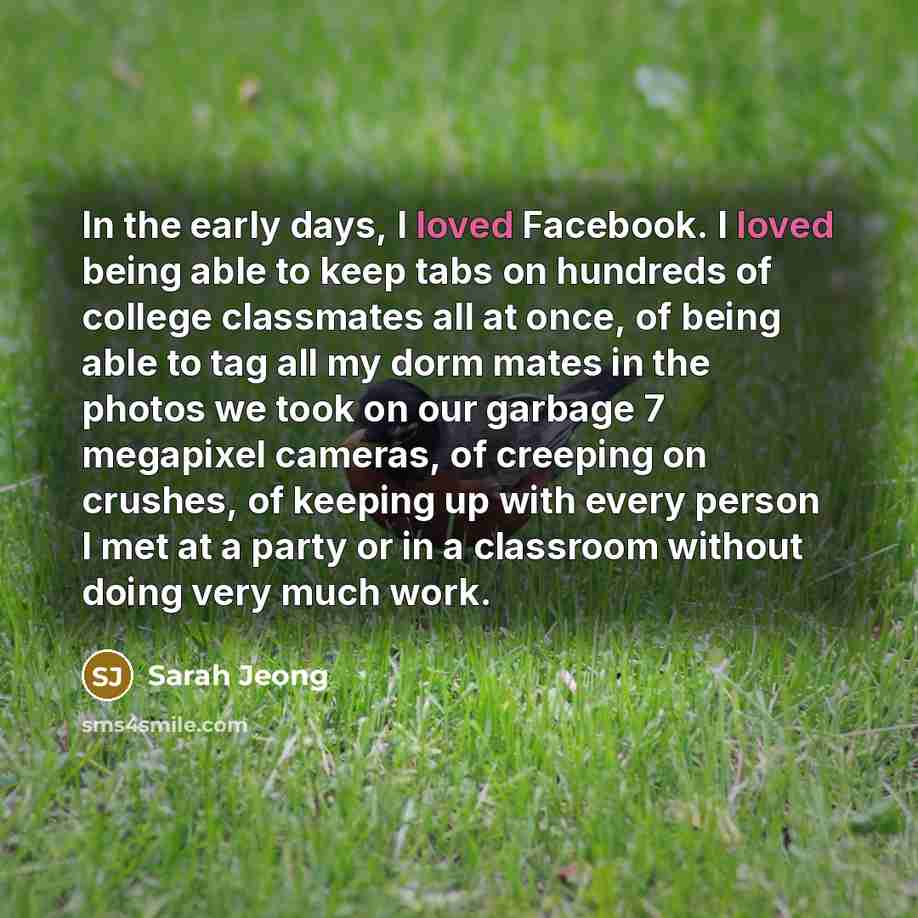 “In the early days, I loved Facebook. I loved being…” quote by Sarah Jeong