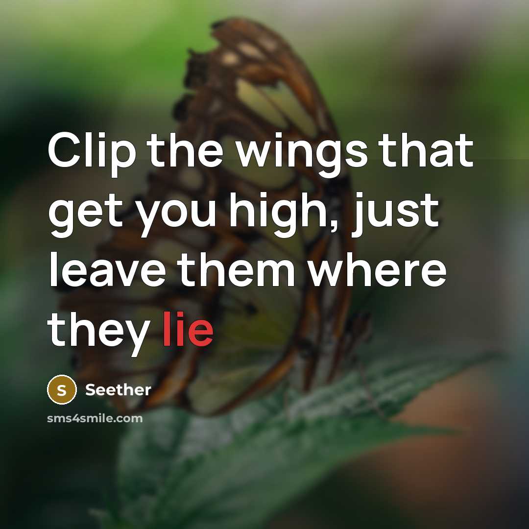 “Clip the wings that get you high, just leave them…” quote by Seether