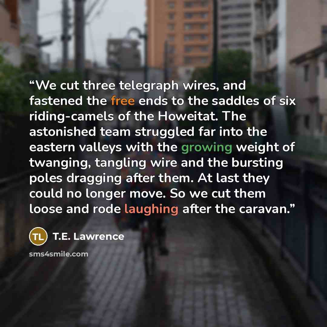 “We cut three telegraph wires, and fastened the free ends to the saddles of six riding-camels of the Howeitat. The astonished team struggled far into the eastern valleys with the growing weight of twanging, tangling wire and the bursting poles dragging after them. At last they could no longer move…” quote by T.E. Lawrence