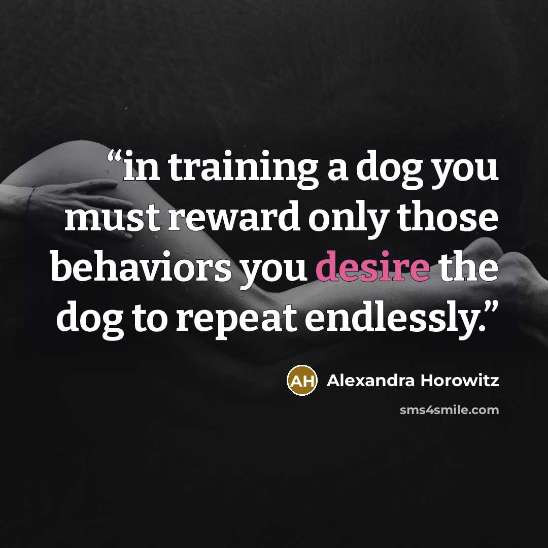 “in training a dog you must reward only those behaviors you desire the dog to repeat endlessly.” quote by Alexandra Horowitz