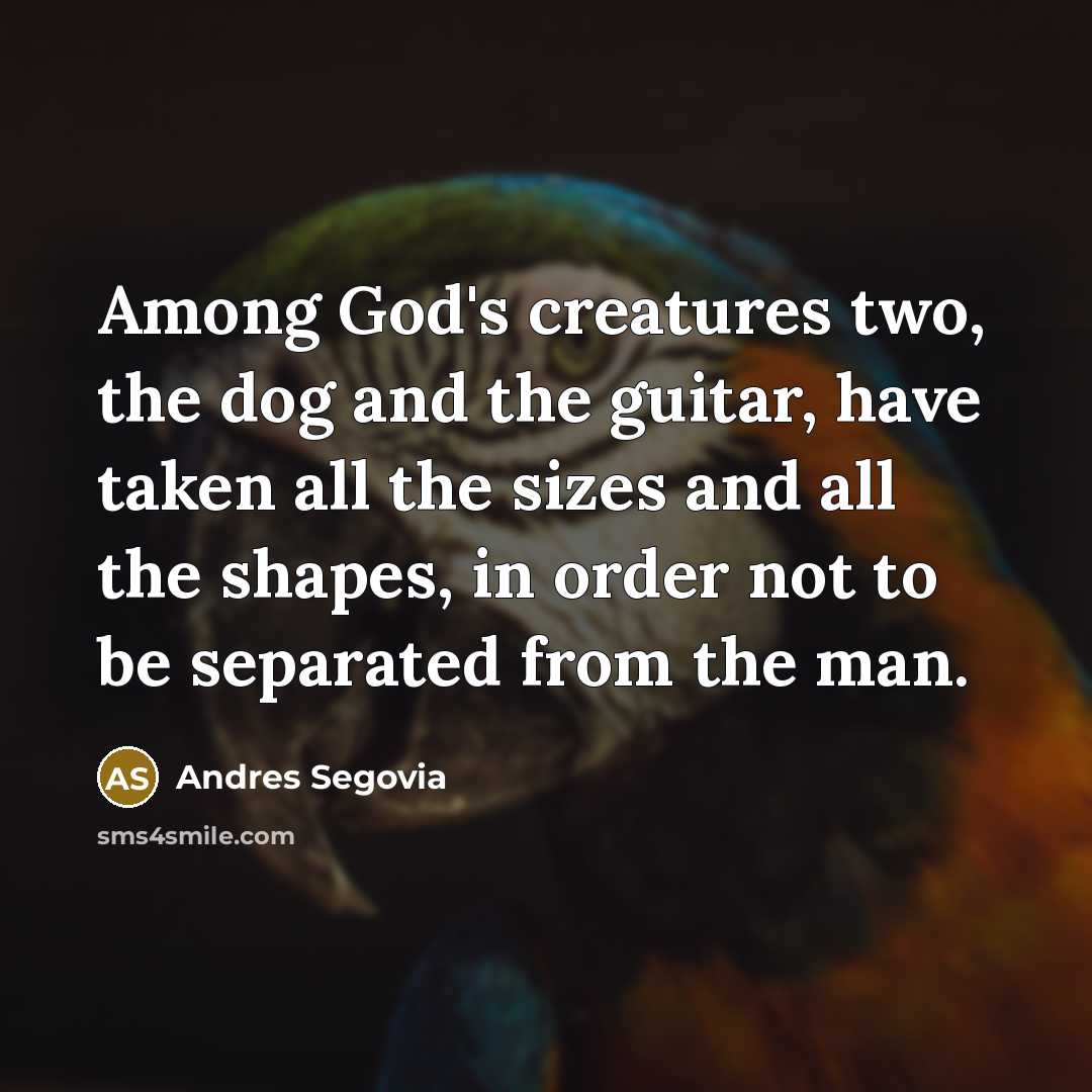 “Among God's creatures two, the dog and the guitar, have taken all the sizes and all the shapes, in order not to be separated from the man.” quote by Andres Segovia