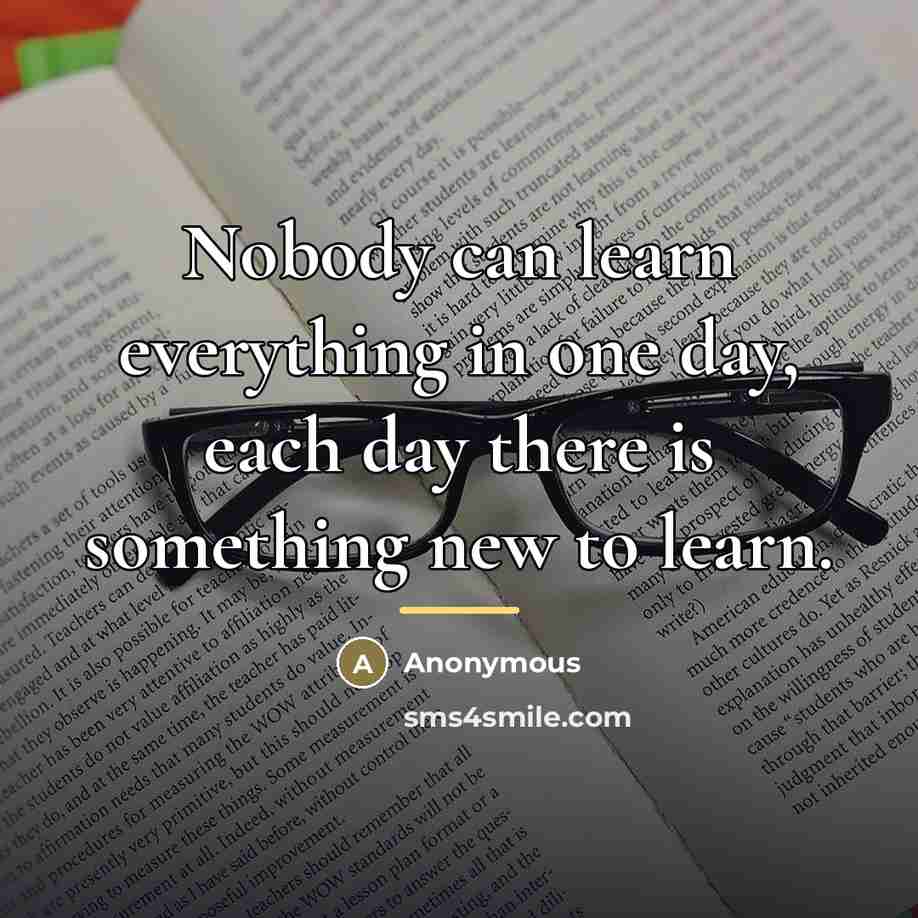 “Nobody can learn everything in one day, each day there…” quote by Anonymous