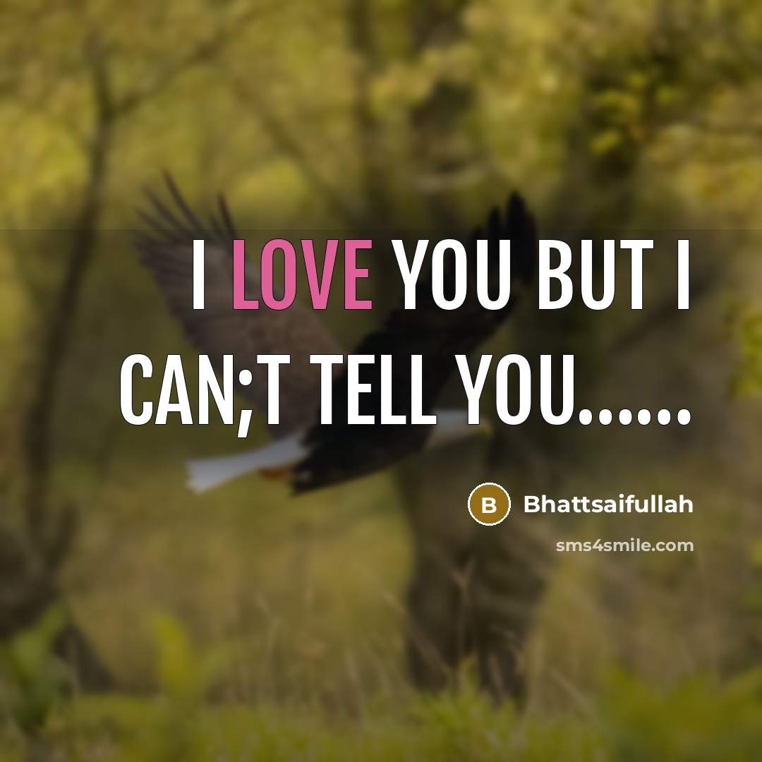 “I love you but I can;t tell you.............…” quote by Bhattsaifullah