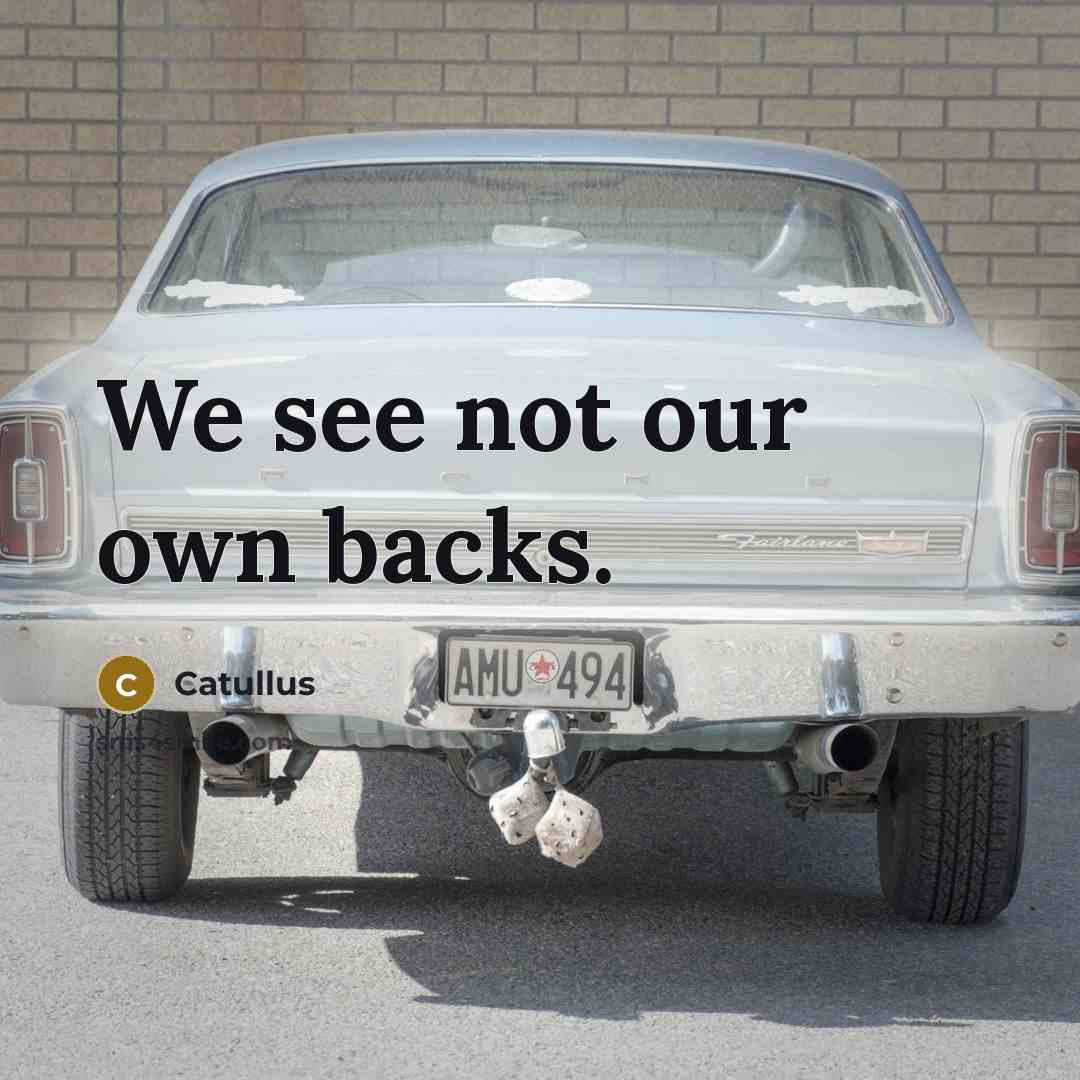 “We see not our own backs.” quote by Catullus
