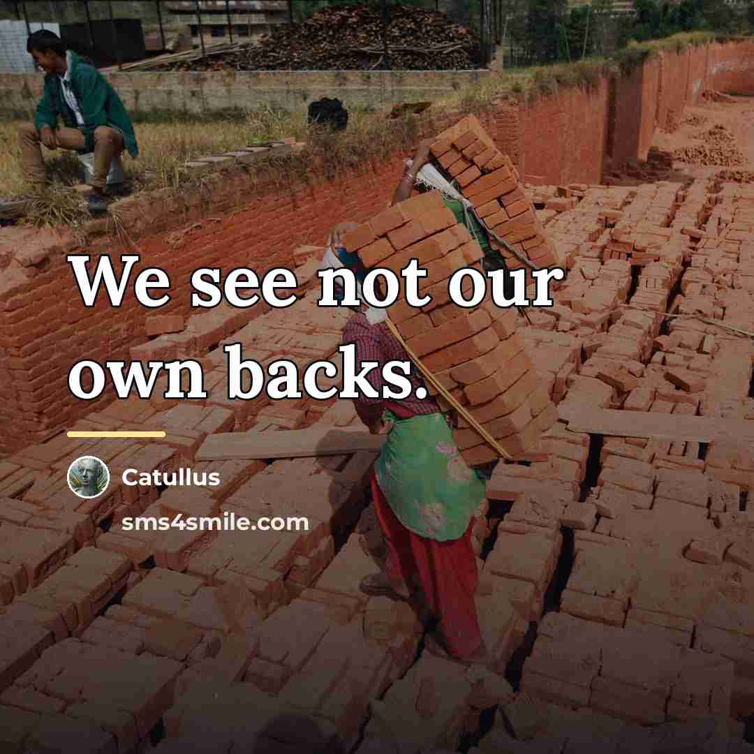 “We see not our own backs.…” quote by Catullus