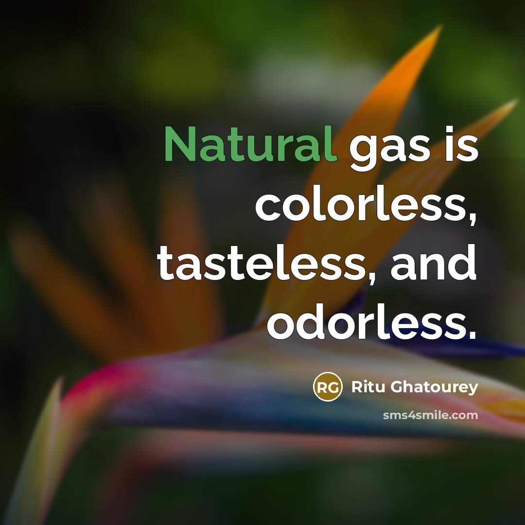 “Natural gas is colorless, tasteless, and odorless.” quote by Ritu Ghatourey