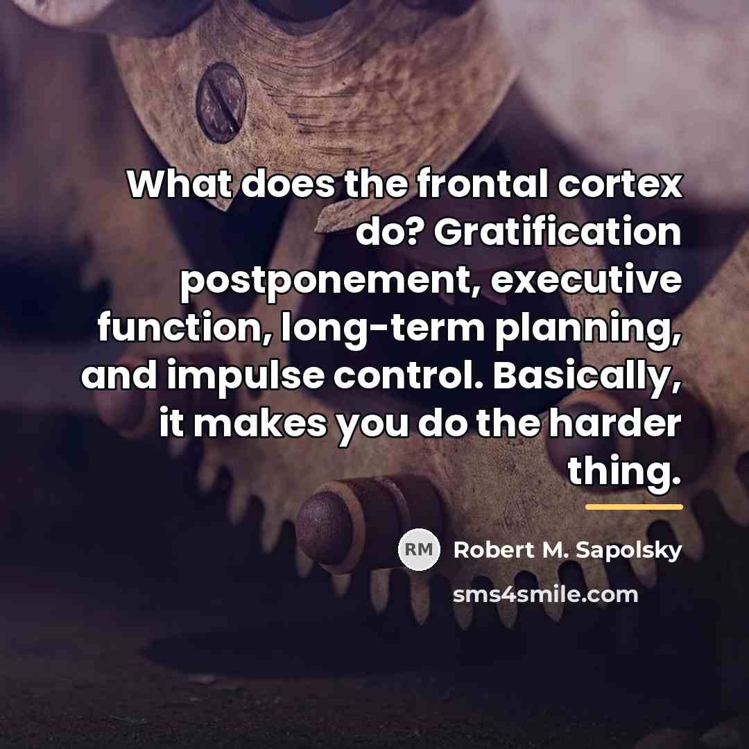 “What does the frontal cortex do? Gratification postponement, executive function,…” quote by Robert M. Sapolsky