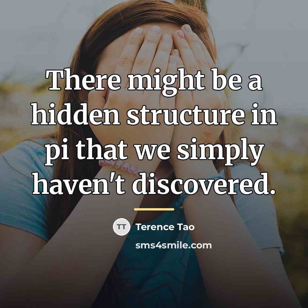 “There might be a hidden structure in pi that we…” quote by Terence Tao
