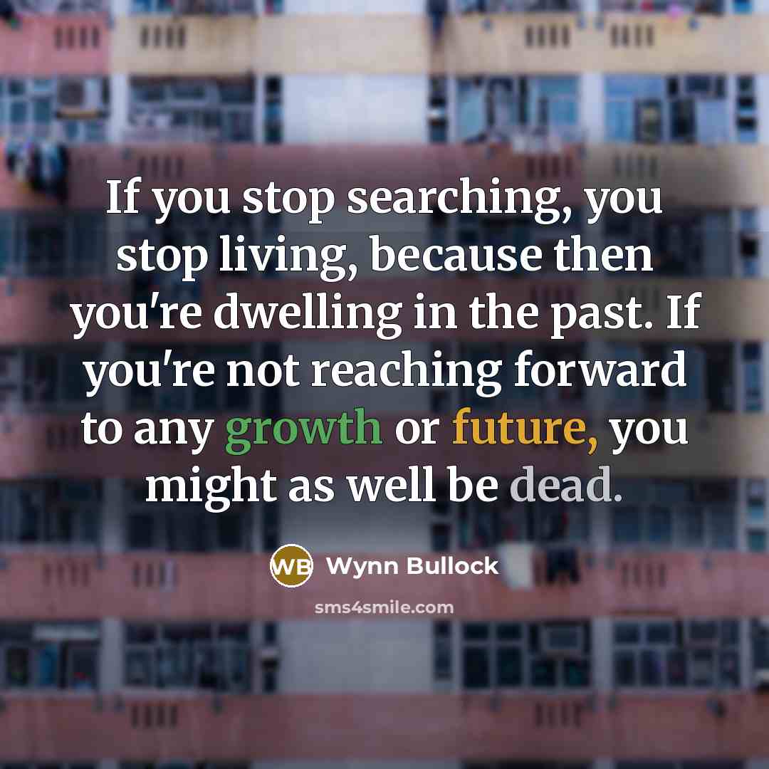 “If you stop searching, you stop living, because then you're…” quote by Wynn Bullock