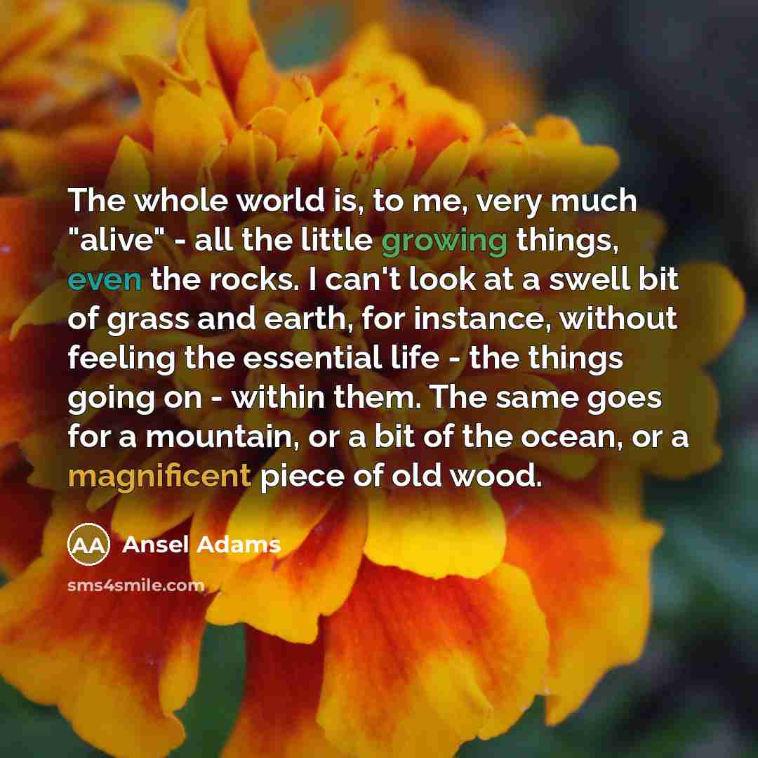 “The whole world is, to me, very much "alive" -…” quote by Ansel Adams
