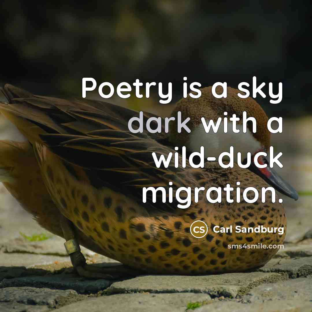 “Poetry is a sky dark with a wild-duck migration.…” quote by Carl Sandburg