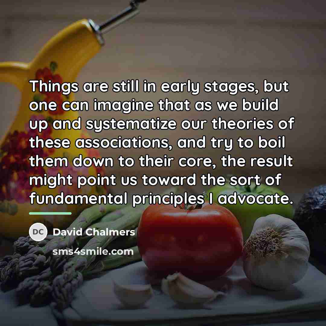 “Things are still in early stages, but one can imagine…” quote by David Chalmers