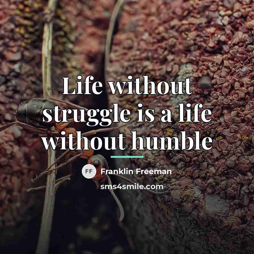 “Life without struggle is a life without humble…” quote by Franklin Freeman