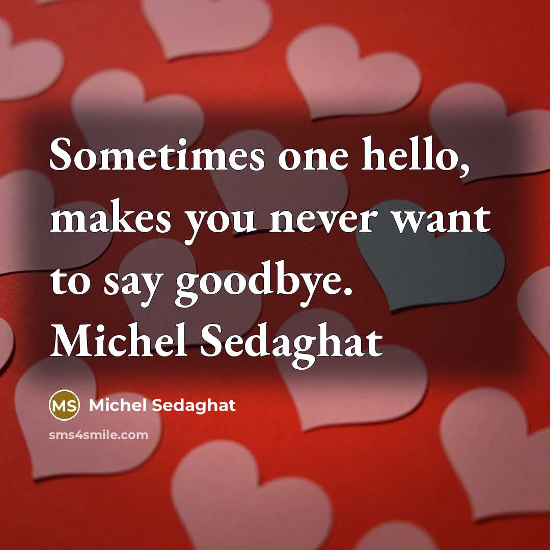 “Sometimes one hello, makes you never want to say goodbye. Michel Sedaghat” quote by Michel Sedaghat