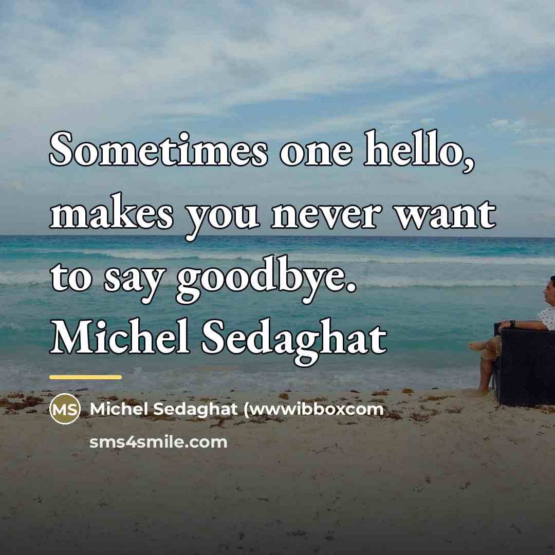 “Sometimes one hello, makes you never want to say goodbye.…” quote by Michel Sedaghat