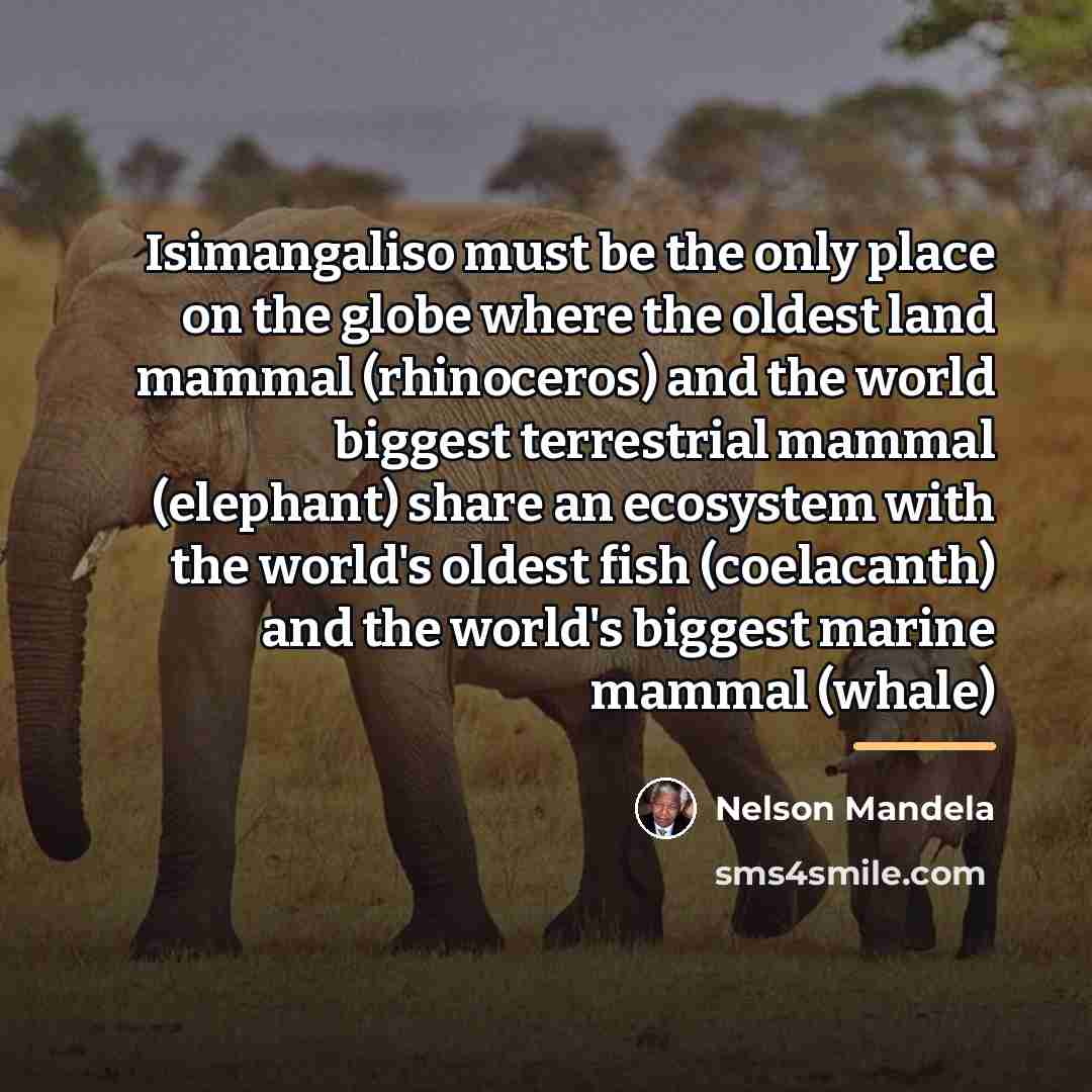 “Isimangaliso must be the only place on the globe where…” quote by Nelson Mandela