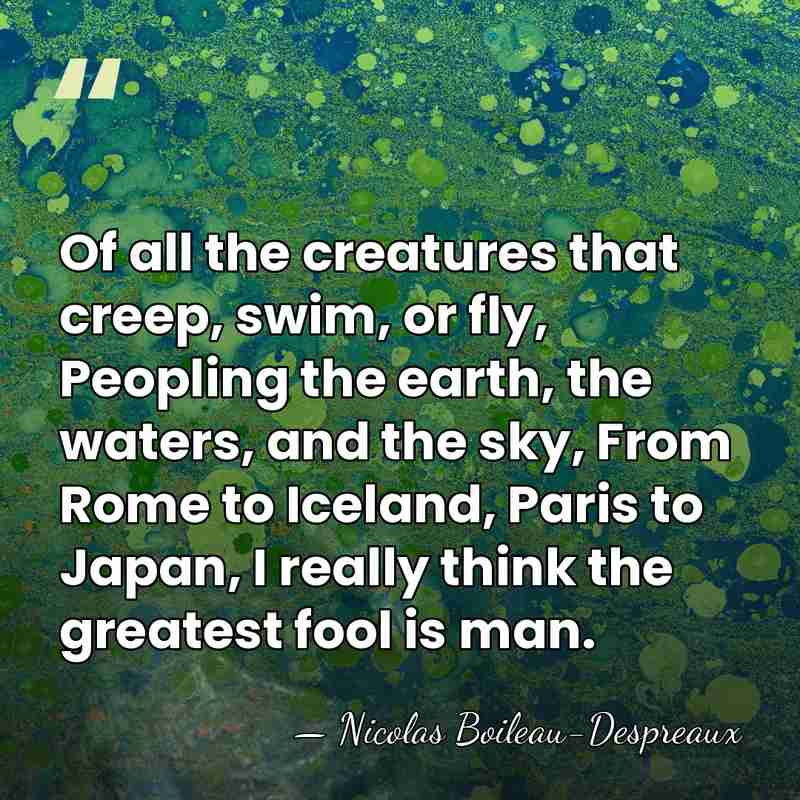 Of all the creatures that creep, swim, or fly, Peopling the earth,&hellip; - Nicolas Boileau-Despreaux