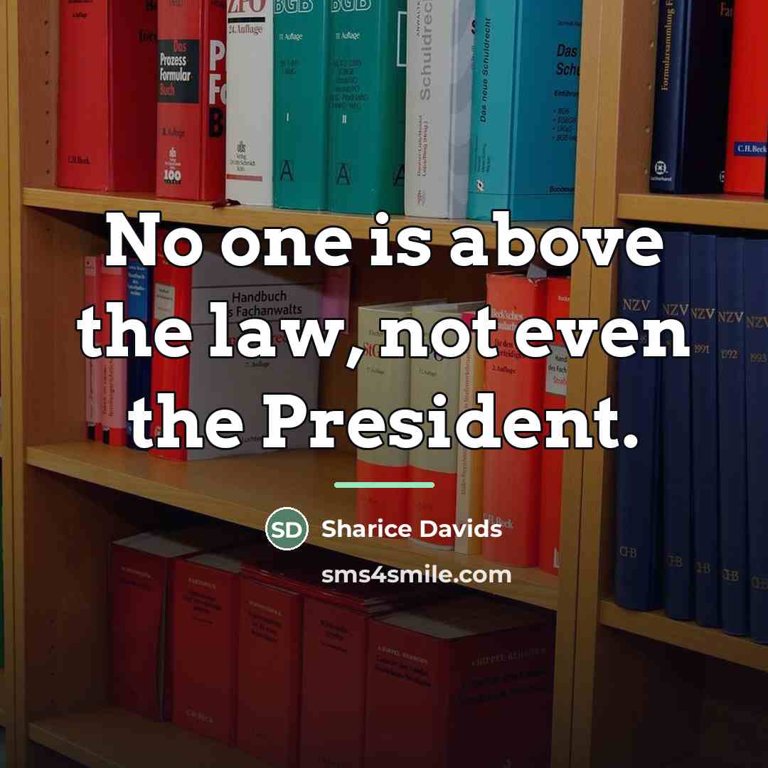 “No one is above the law, not even the President.…” quote by Sharice Davids