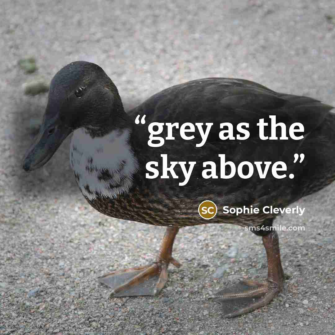 “grey as the sky above.” quote by Sophie Cleverly