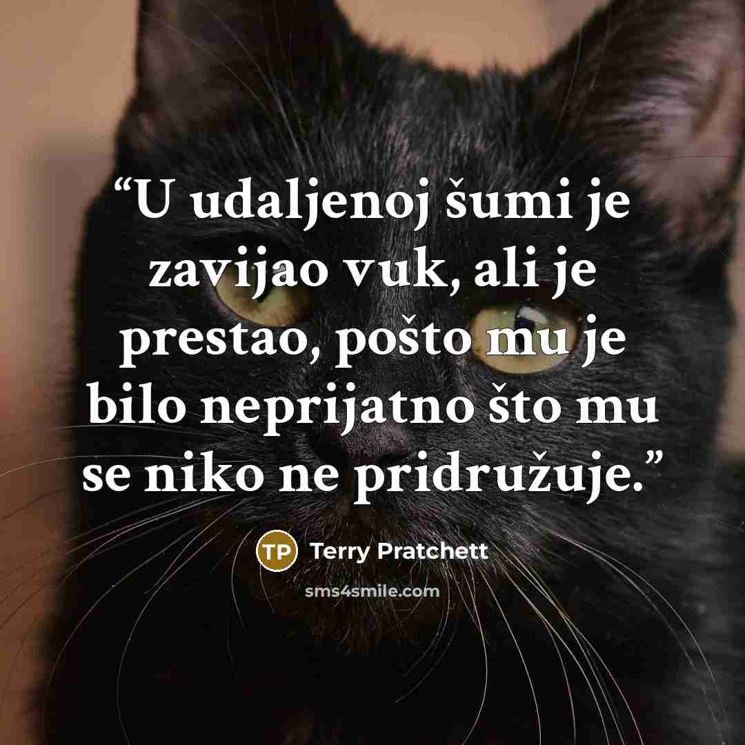 “U udaljenoj šumi je zavijao vuk, ali je prestao, pošto mu je bilo neprijatno što mu se niko ne pridružuje.” quote by Terry Pratchett