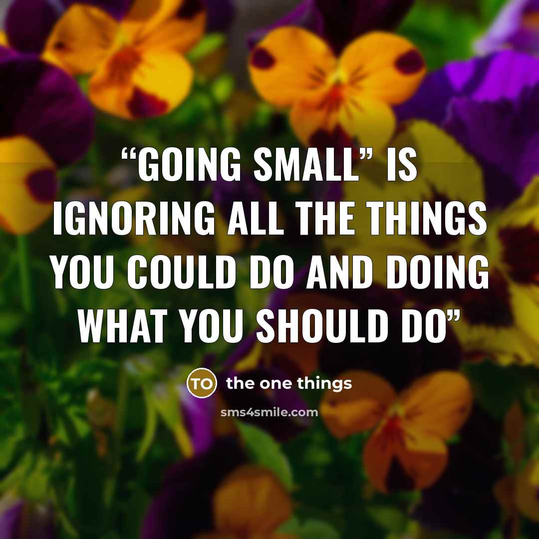“Going small” is ignoring all the things you could do and doing what you should do” quote by the one things