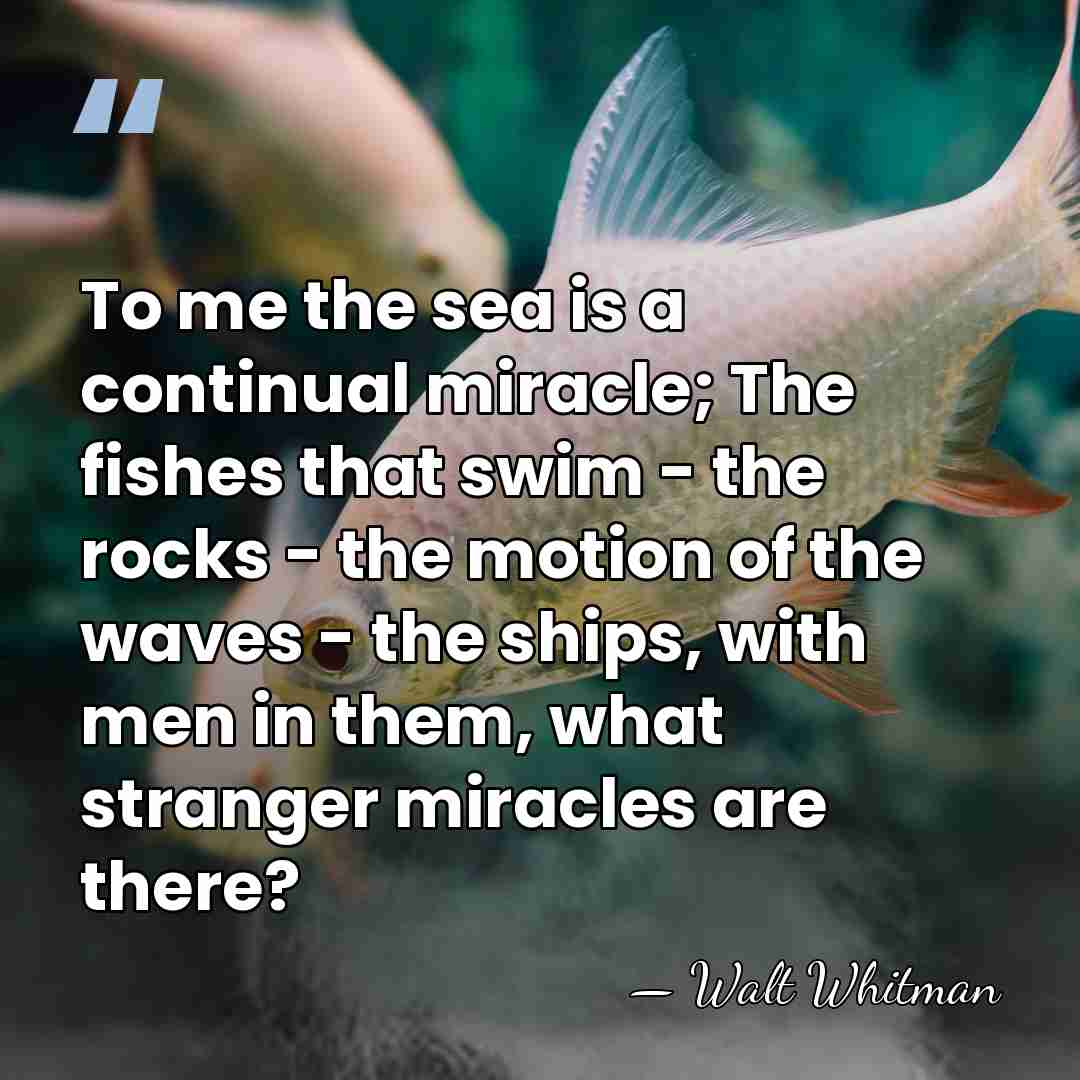 To me the sea is a continual miracle; The fishes that swim&hellip; - Walt Whitman