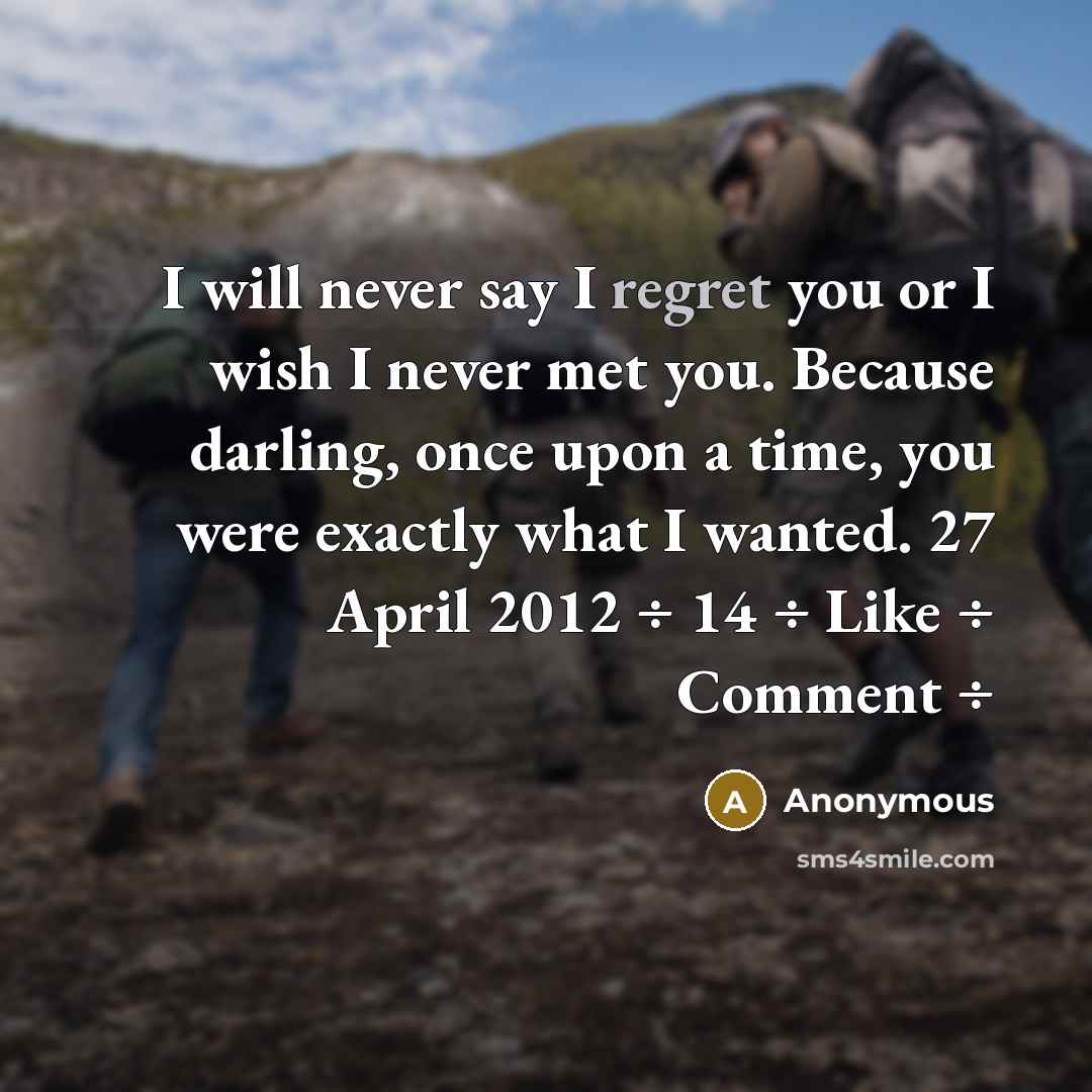 “I will never say I regret you or I wish…” quote by Anonymous
