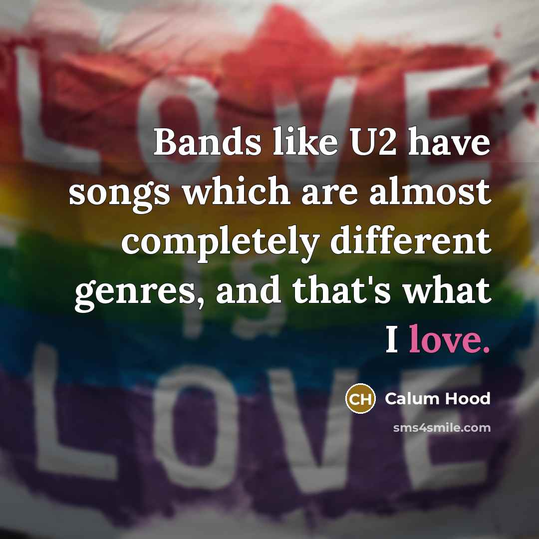 “Bands like U2 have songs which are almost completely different…” quote by Calum Hood