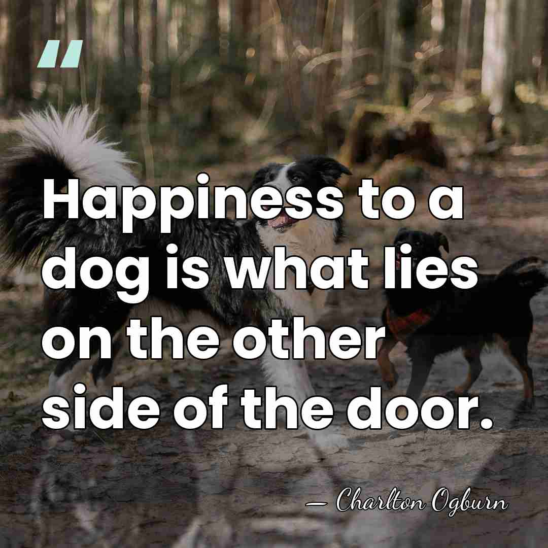 Happiness to a dog is what lies on the other side of&hellip; - Charlton Ogburn