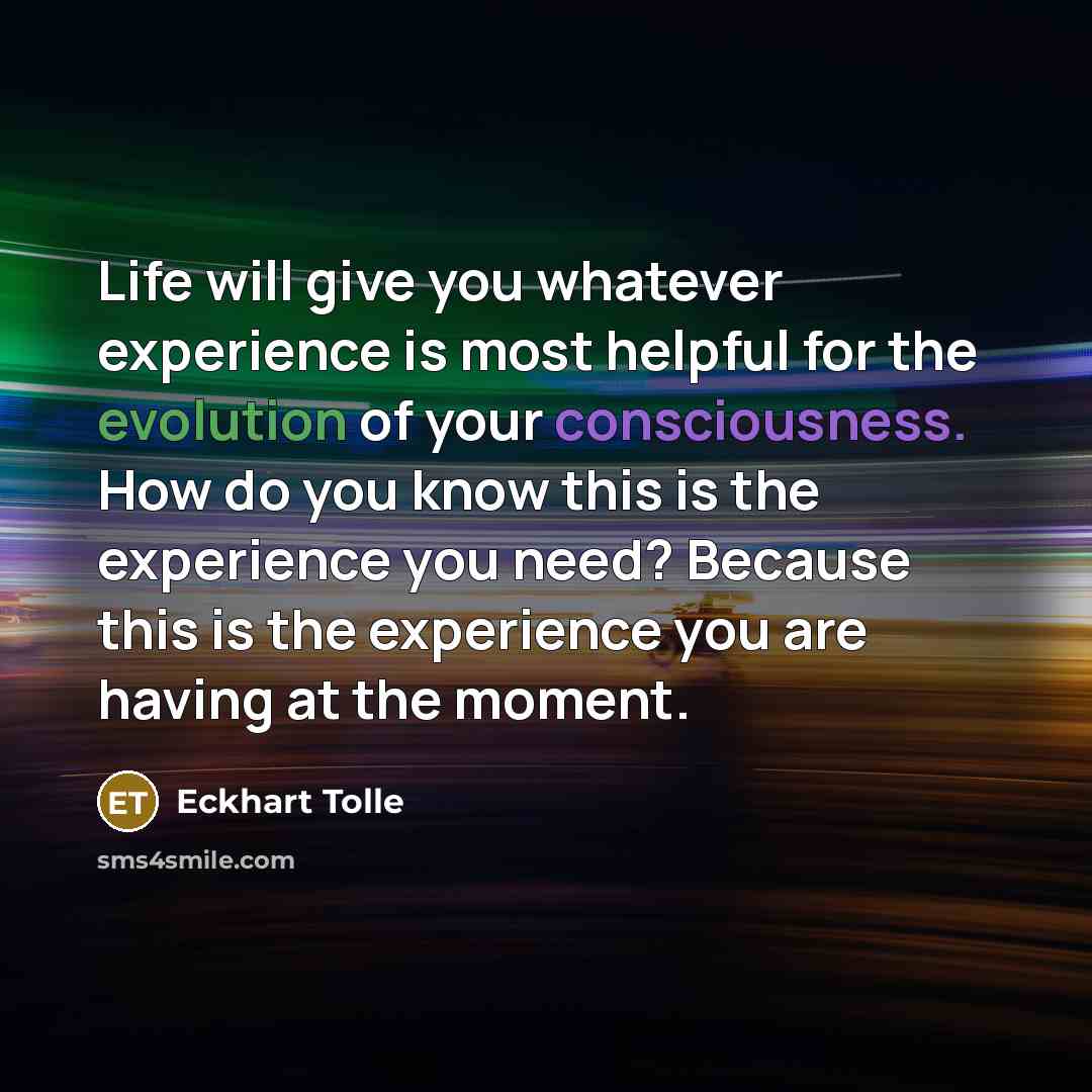 “Life will give you whatever experience is most helpful for the evolution of your consciousness. How do you know this is the experience you need? Because this is the experience you are having at the moment.” quote by Eckhart Tolle