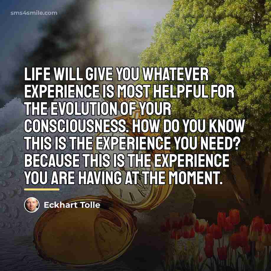 “Life will give you whatever experience is most helpful for…” quote by Eckhart Tolle