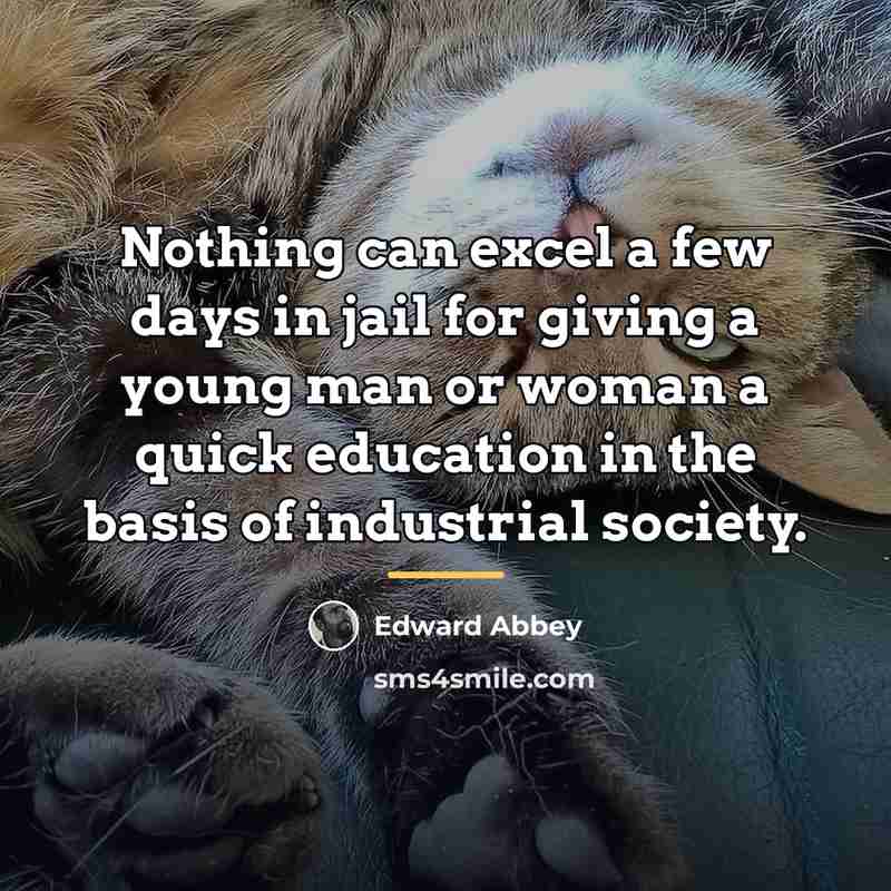 “Nothing can excel a few days in jail for giving…” quote by Edward Abbey