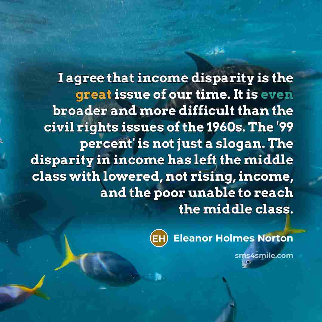 “I agree that income disparity is the great issue of…” quote by Eleanor Holmes Norton