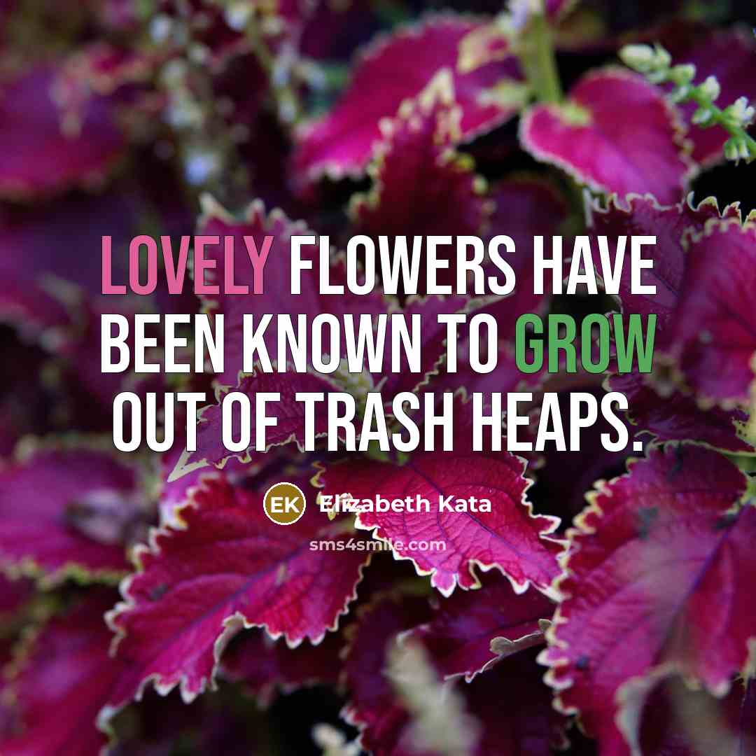 “Lovely flowers have been known to grow out of trash…” quote by Elizabeth Kata