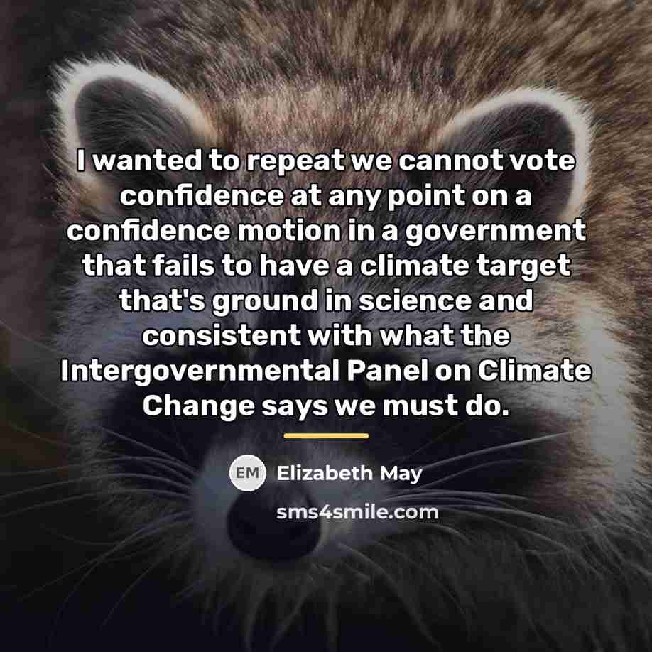 “I wanted to repeat we cannot vote confidence at any…” quote by Elizabeth May