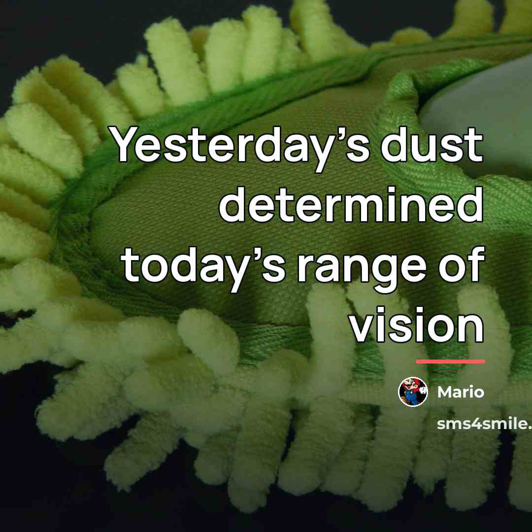 “Yesterday's dust determined today's range of vision…” quote by Mario