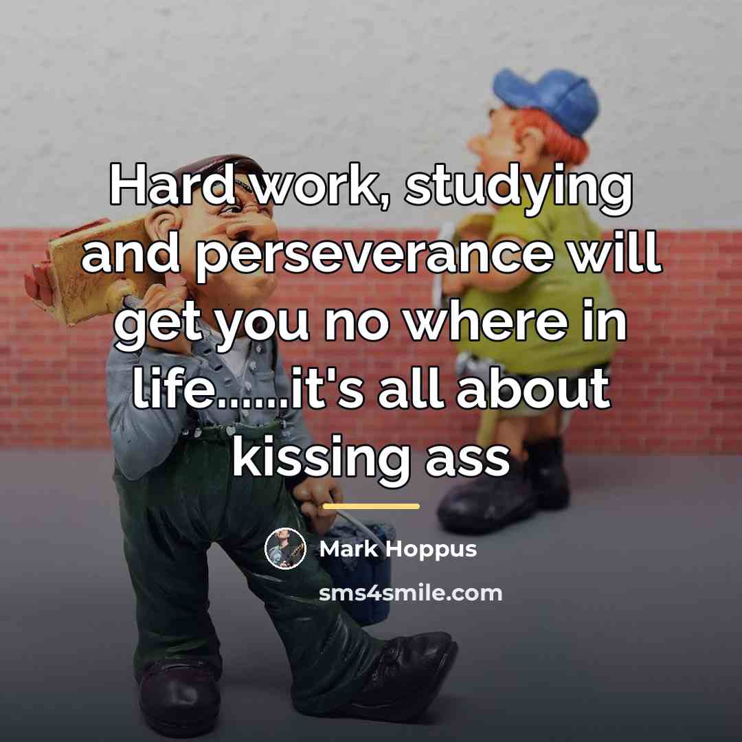 “Hard work, studying and perseverance will get you no where…” quote by Mark Hoppus