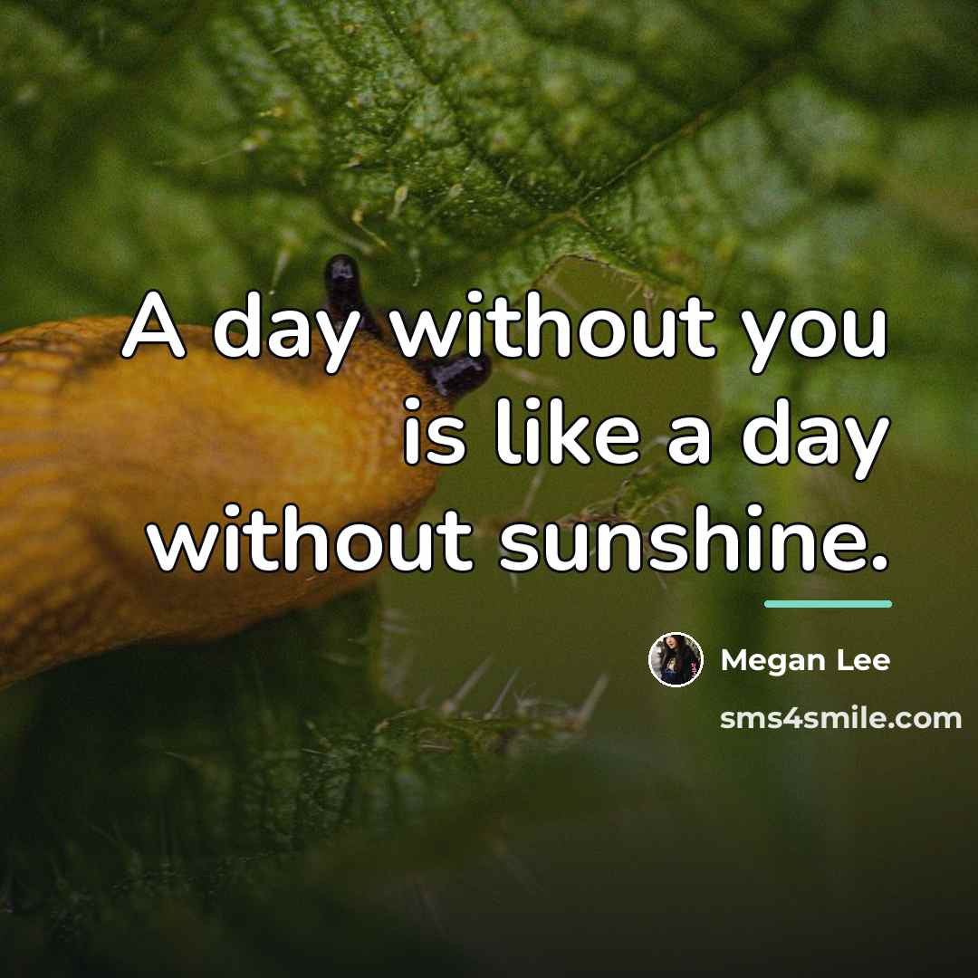 “A day without you is like a day without sunshine.…” quote by Megan Lee