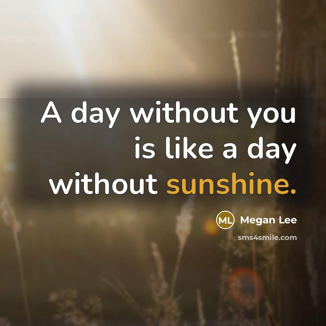 “A day without you is like a day without sunshine.” quote by Megan Lee