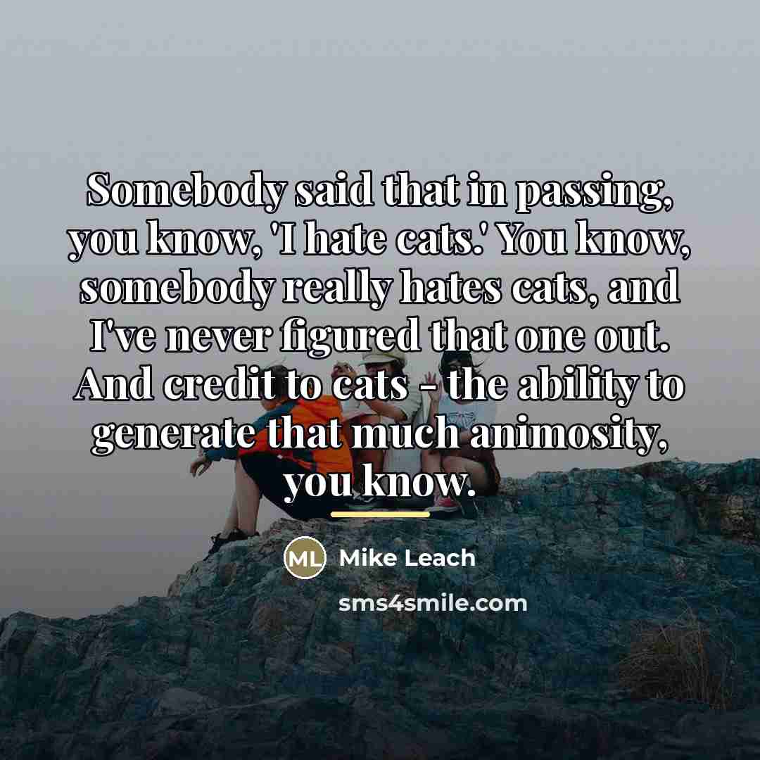 “Somebody said that in passing, you know, 'I hate cats.'…” quote by Mike Leach
