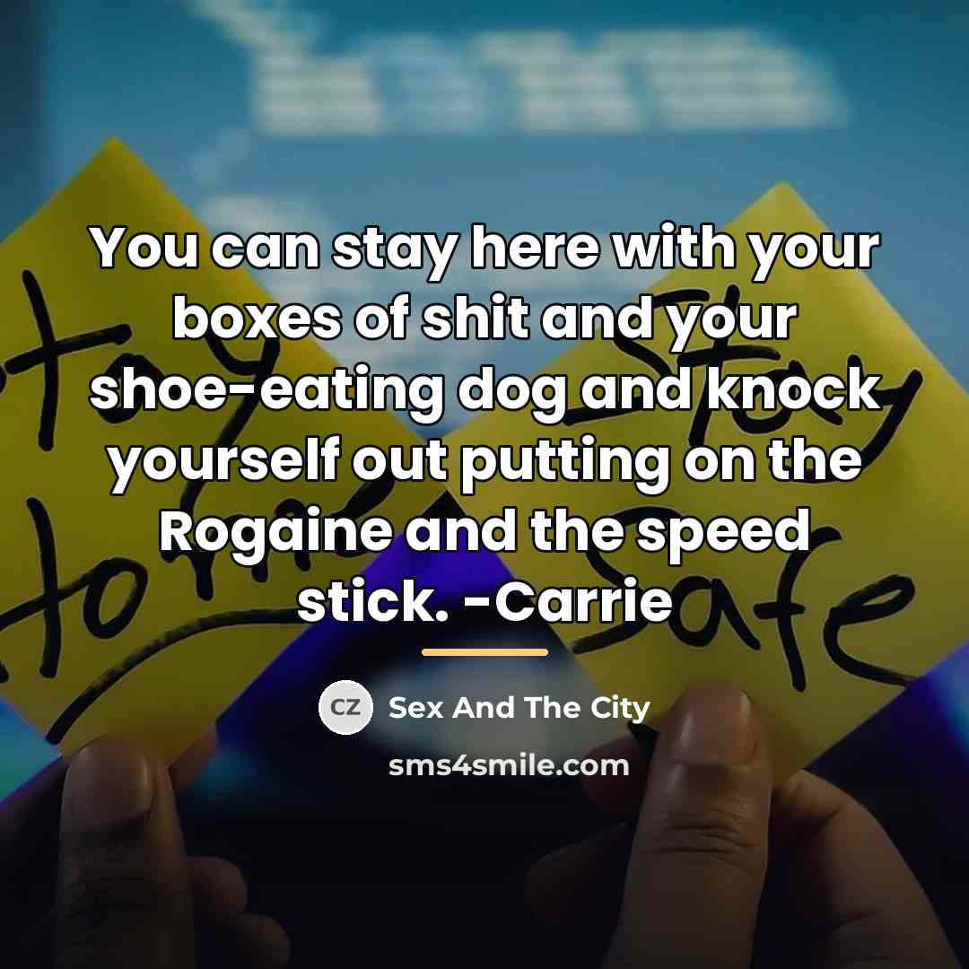 “You can stay here with your boxes of shit and…” quote by Sex And The City