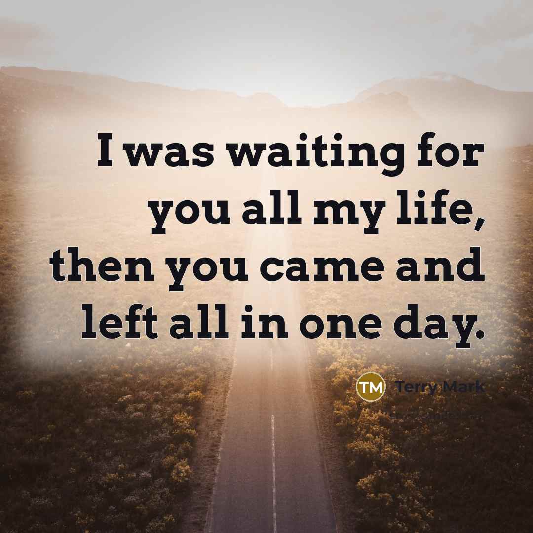 “I was waiting for you all my life, then you…” quote by Terry Mark