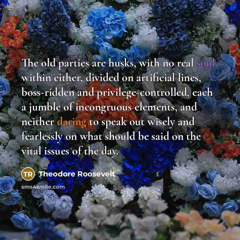 “The old parties are husks, with no real soul within…” quote by Theodore Roosevelt