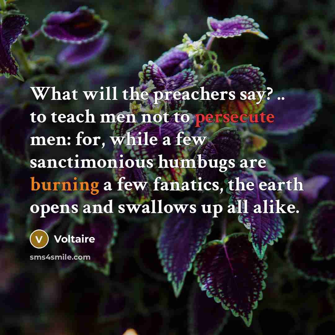 “What will the preachers say? .. to teach men not…” quote by Voltaire