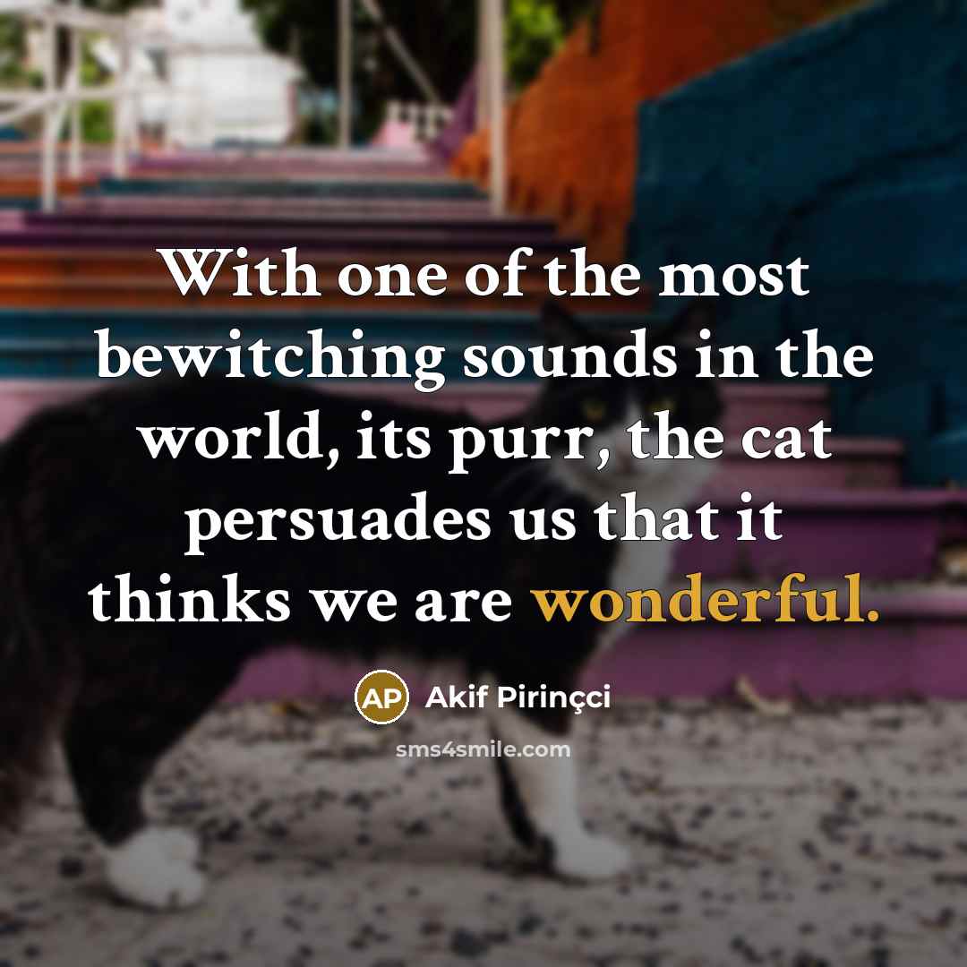 “With one of the most bewitching sounds in the world,…” quote by Akif Pirincci