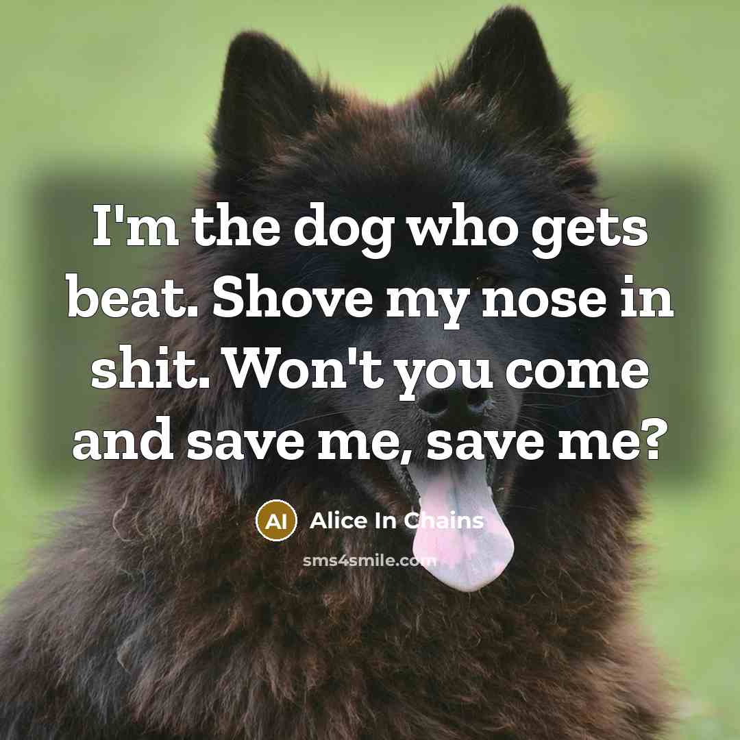 “I'm the dog who gets beat. Shove my nose in…” quote by Alice In Chains