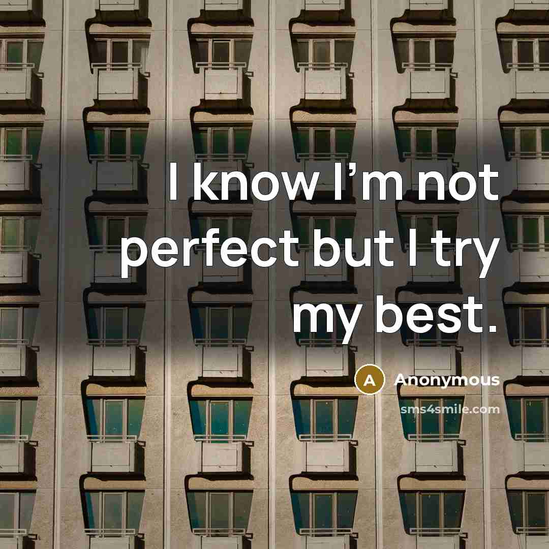 “I know I'm not perfect but I try my best.…” quote by Anonymous