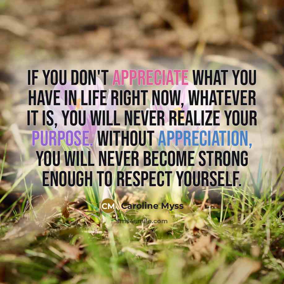 “If you don't appreciate what you have in life right…” quote by Caroline Myss