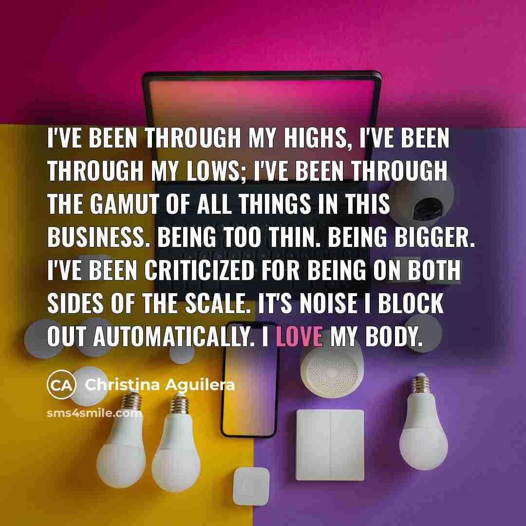 “I've been through my highs, I've been through my lows;…” quote by Christina Aguilera