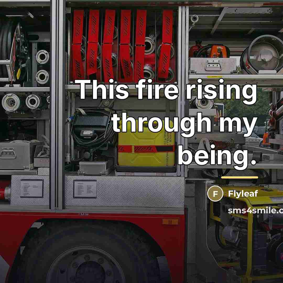 “This fire rising through my being.…” quote by Flyleaf